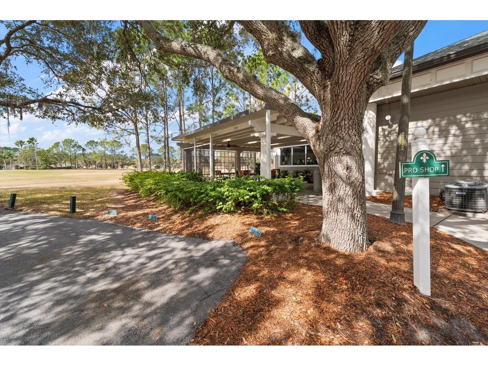 1237 Rambling Vine Court Trinity FL 34655 TB8466679 image63