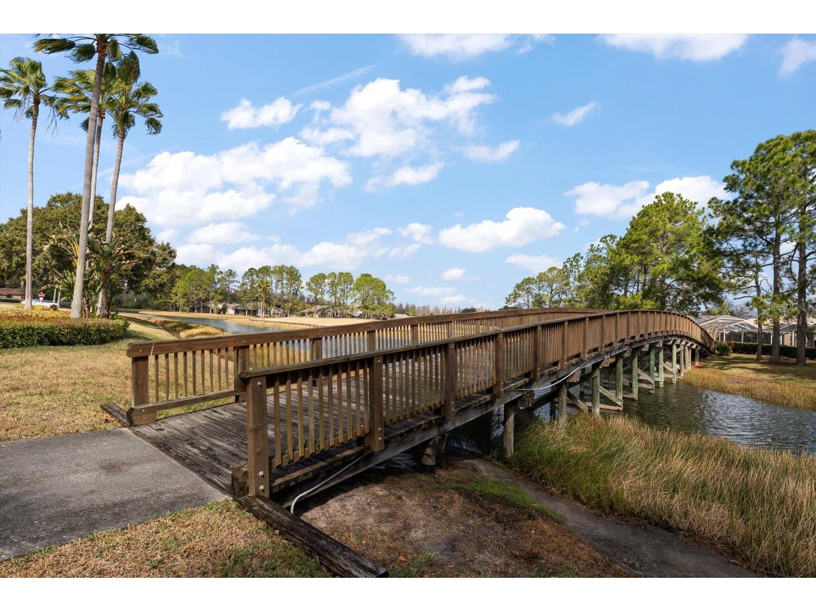 1237 Rambling Vine Court Trinity FL 34655 TB8466679 image66