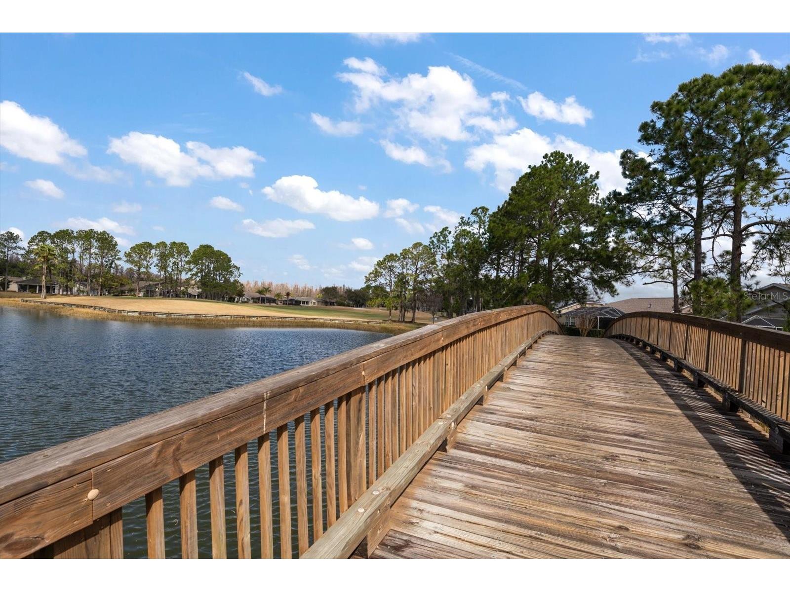 1237 Rambling Vine Court Trinity FL 34655 TB8466679 image67