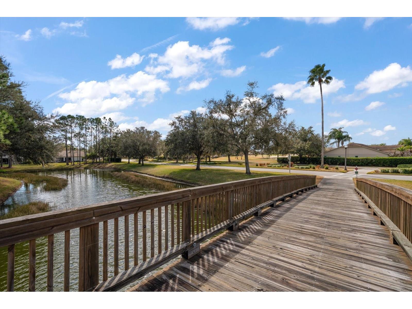 1237 Rambling Vine Court Trinity FL 34655 TB8466679 image68