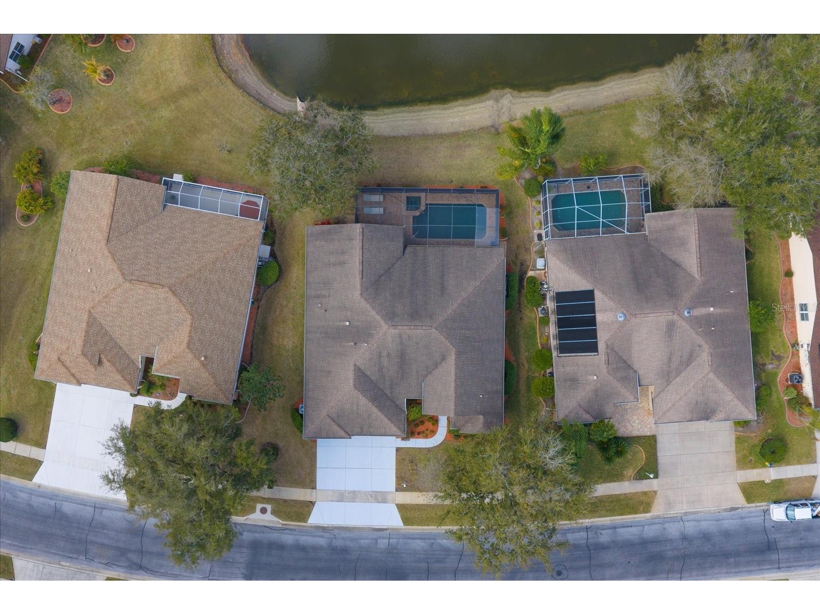 1237 Rambling Vine Court Trinity FL 34655 TB8466679 image70