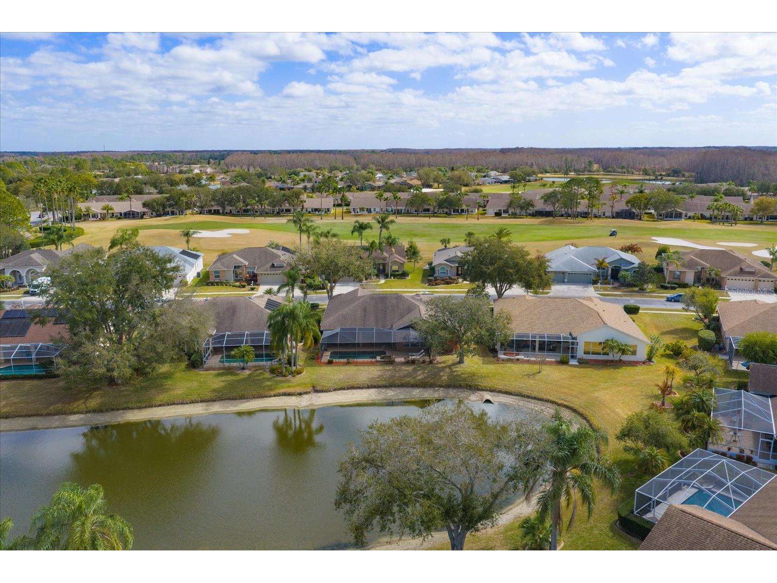 1237 Rambling Vine Court Trinity FL 34655 TB8466679 image71
