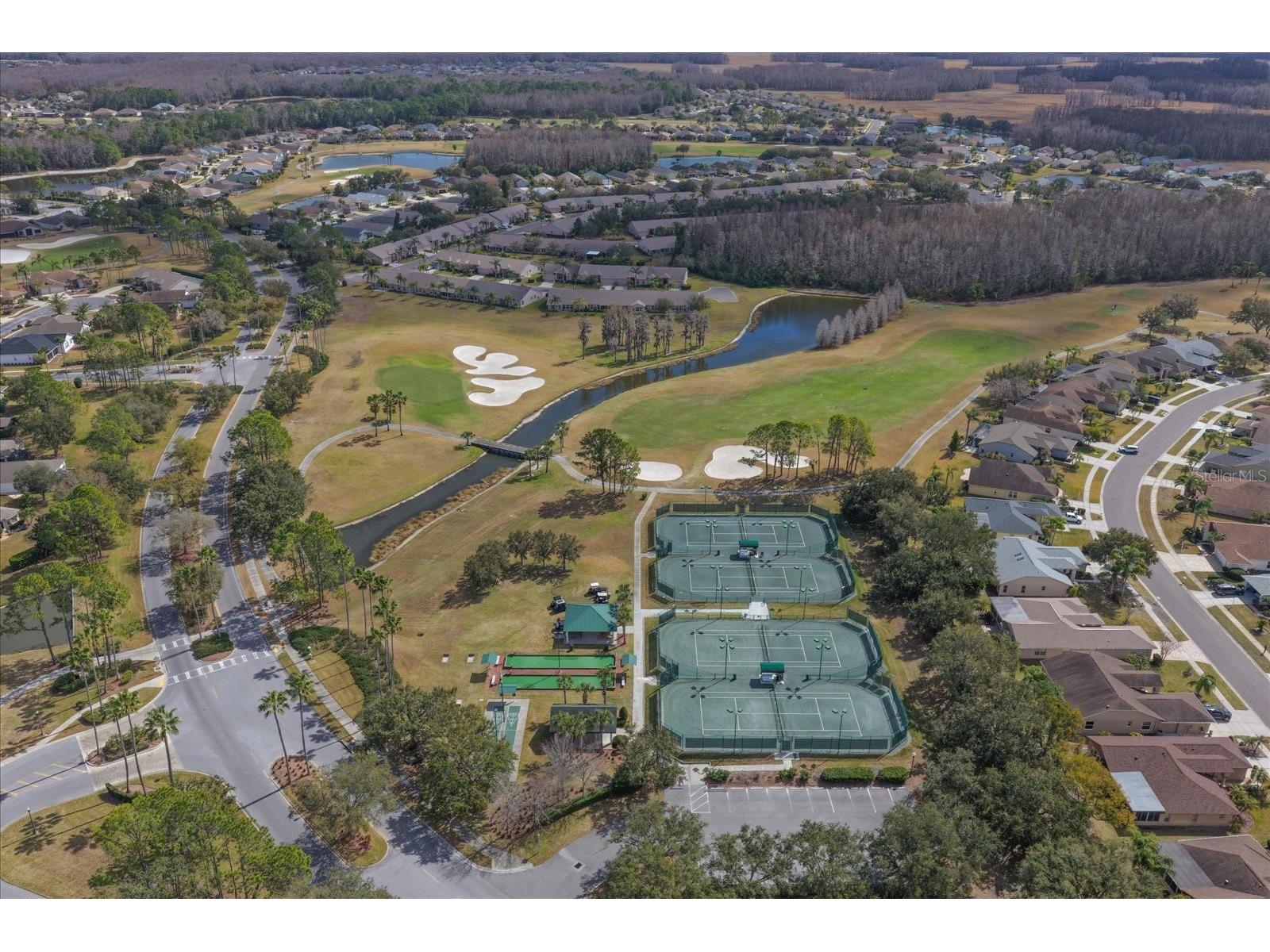 1237 Rambling Vine Court Trinity FL 34655 TB8466679 image73