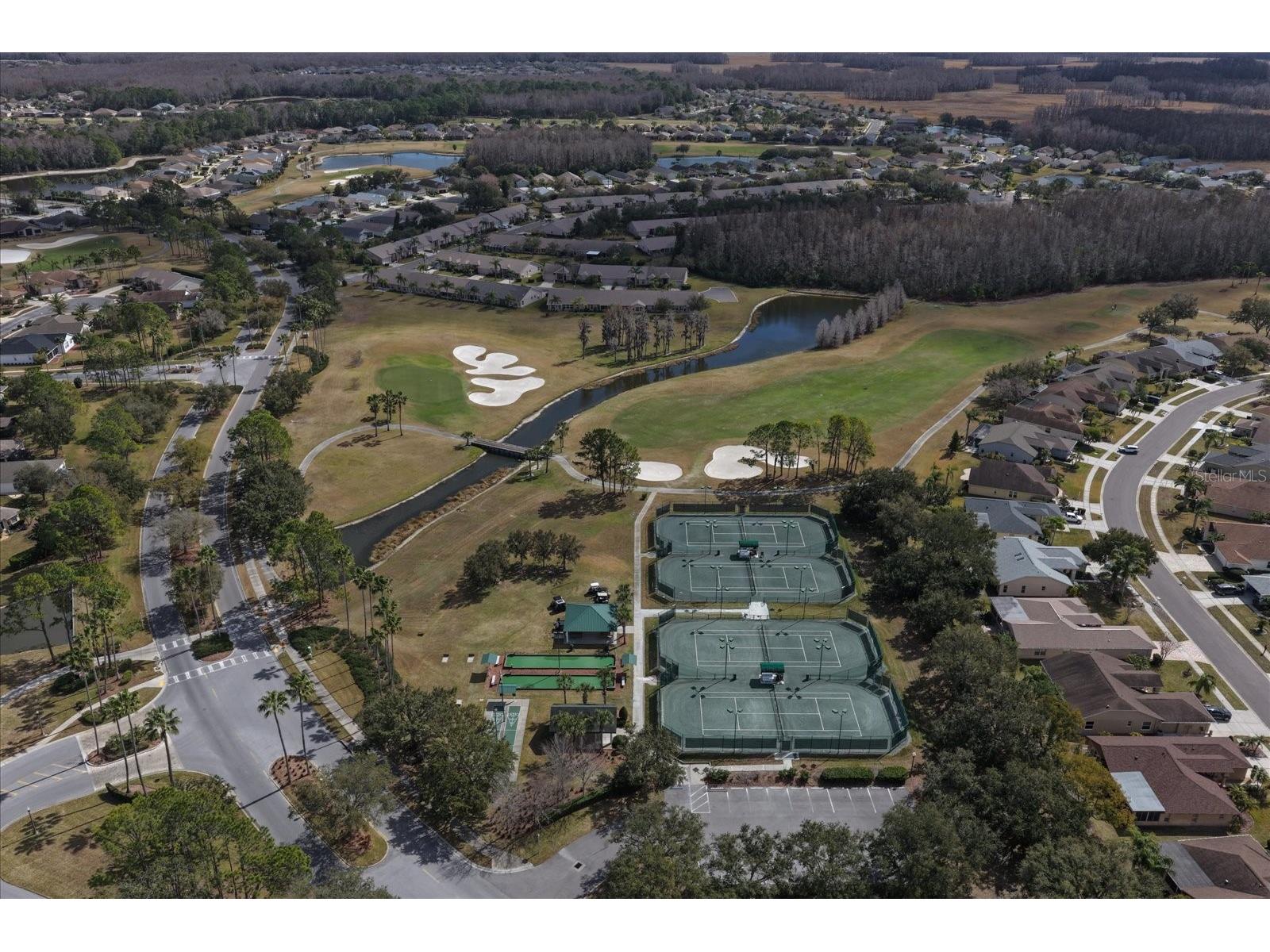 1237 Rambling Vine Court Trinity FL 34655 TB8466679 image74