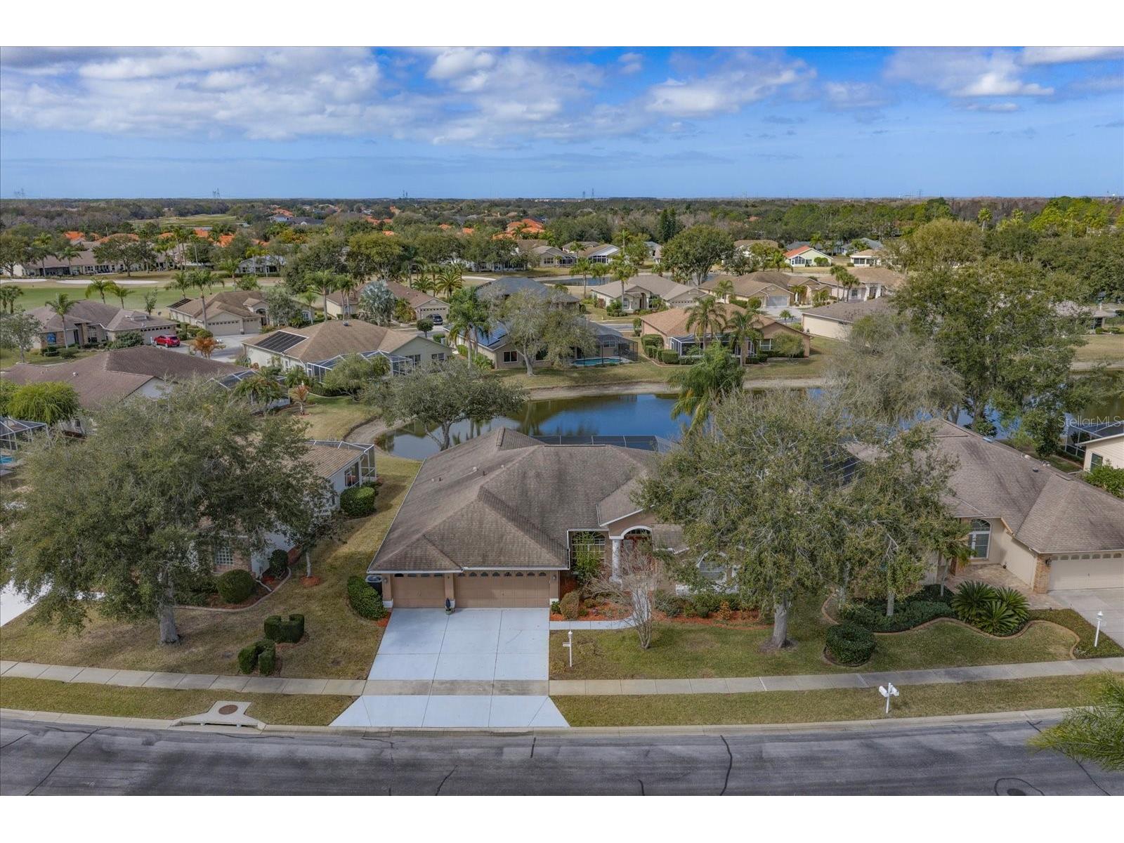 1237 Rambling Vine Court Trinity FL 34655 TB8466679 image76