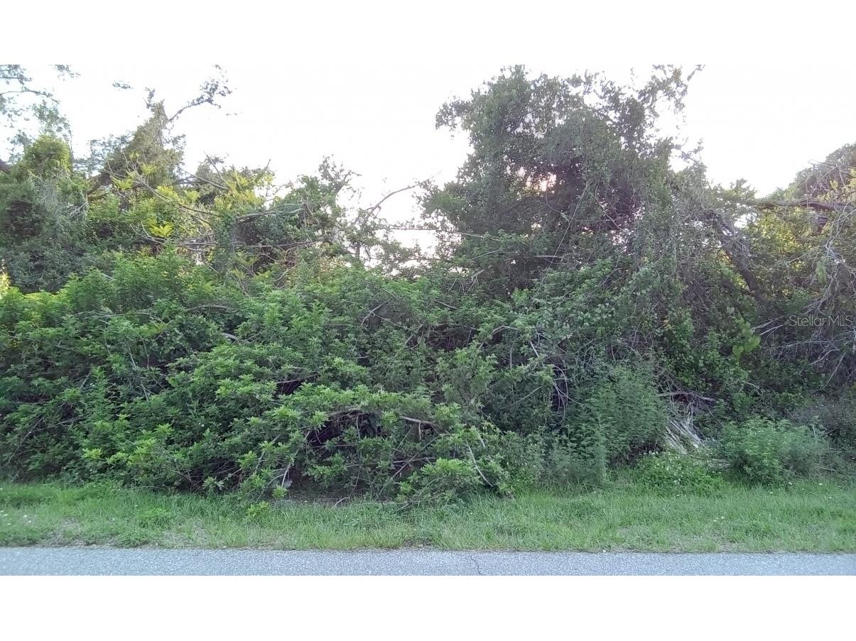 1237 Sultana Street Port Charlotte FL 33952 O6120723 image1