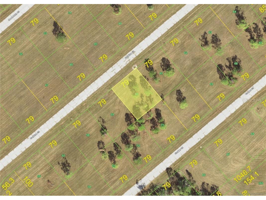12370 Corbina (Lot 60) Court Placida FL 33946 D6134977 image1