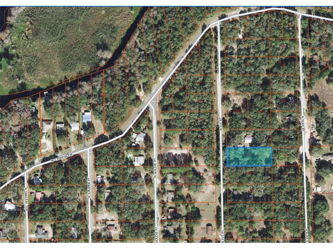 12371 N Elf Point Dunnellon FL 34433 OM662905 image1