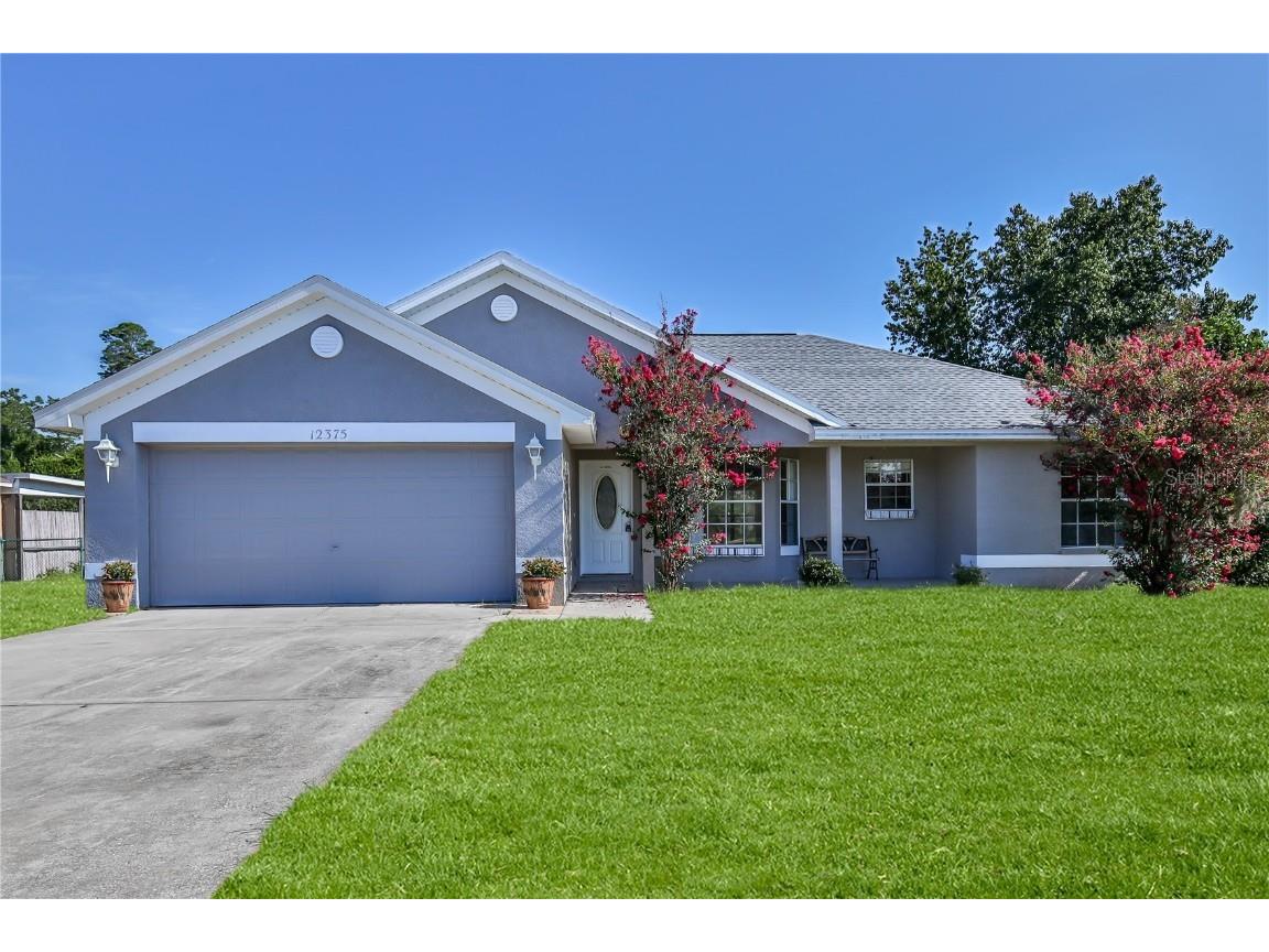 12375 Hanley Drive Spring Hill FL 34608 U8211335 image1