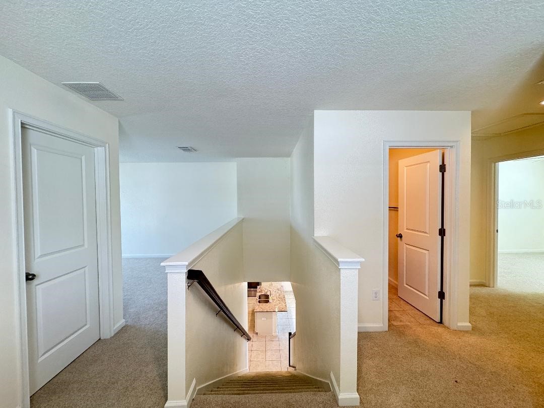 12377 Streambed Drive Riverview FL 33579 TB8469397 image27