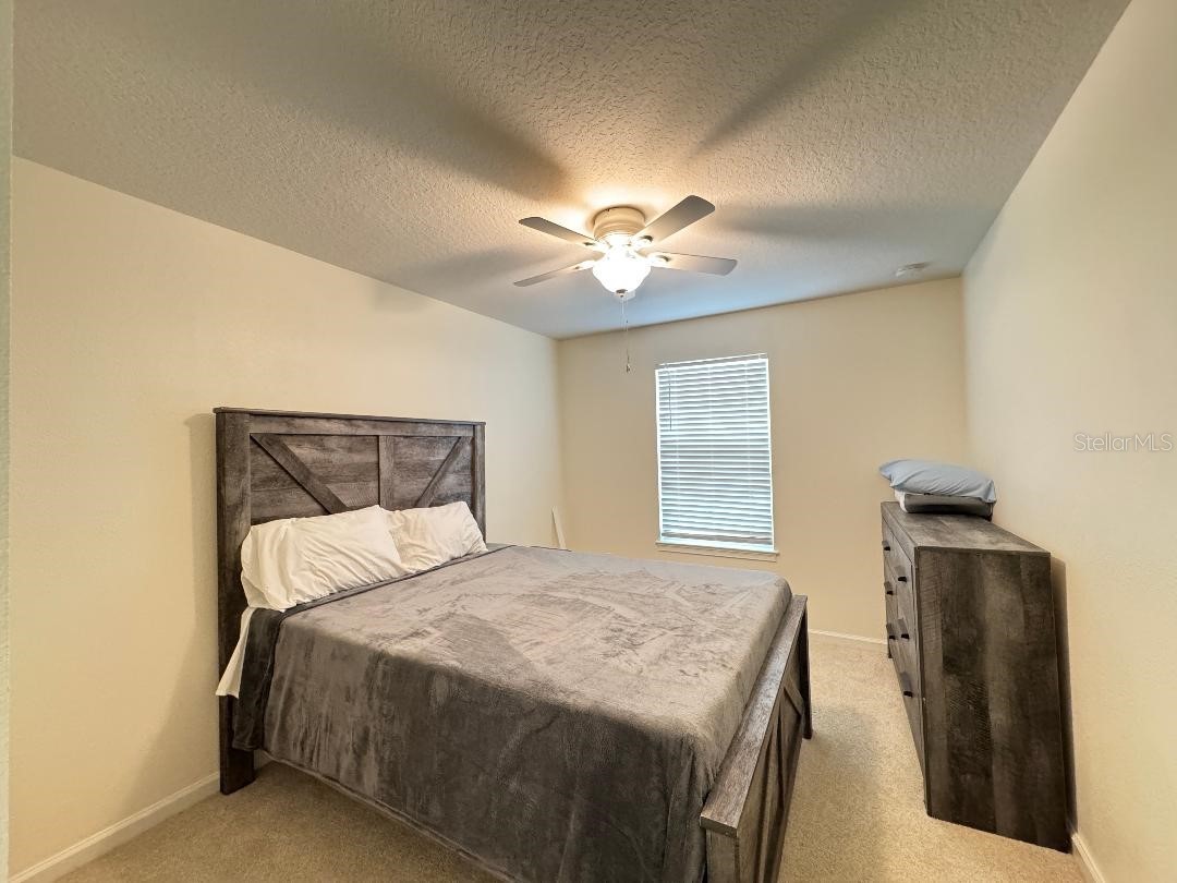 12377 Streambed Drive Riverview FL 33579 TB8469397 image30