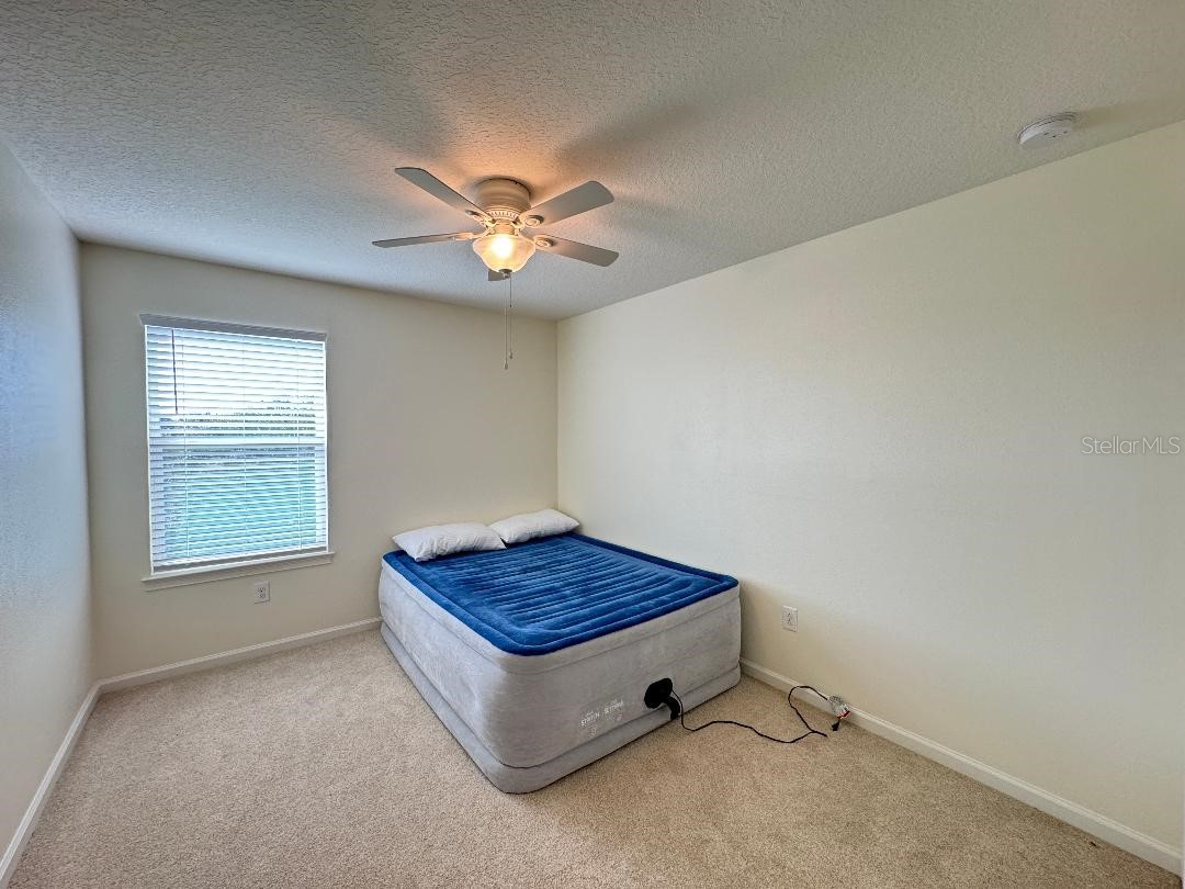 12377 Streambed Drive Riverview FL 33579 TB8469397 image32