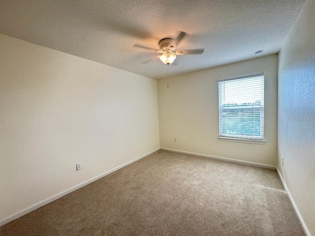 12377 Streambed Drive Riverview FL 33579 TB8469397 image33