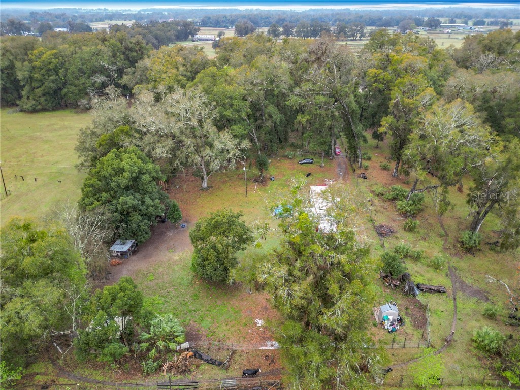 12379 NE 7th Avenue Citra FL 32113 OM695736 image27