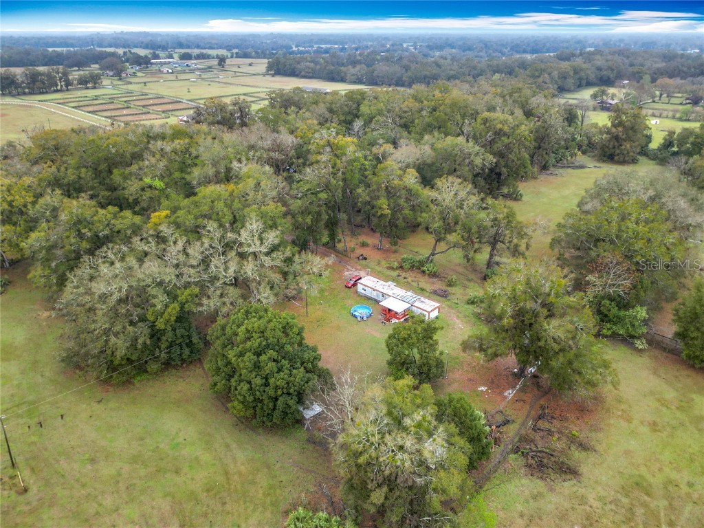 12379 NE 7th Avenue Citra FL 32113 OM695736 image29