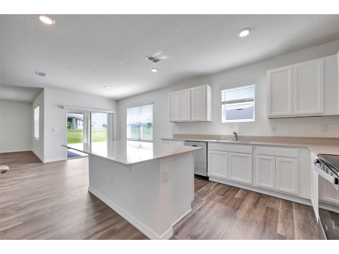 1238 Alstonia Lane Mount Dora FL 32757 O6341261 image12