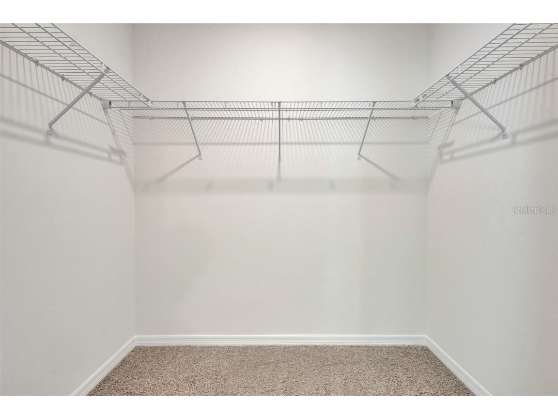 1238 Alstonia Lane Mount Dora FL 32757 O6341261 image17