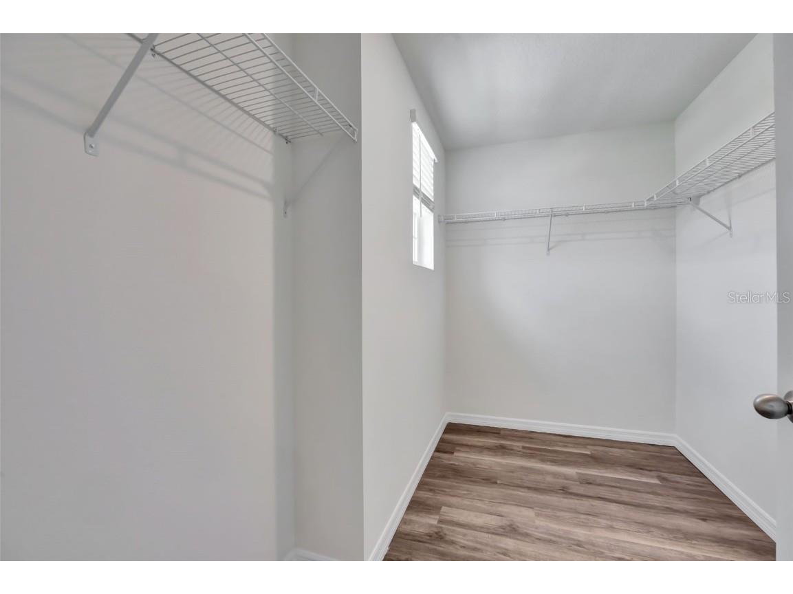 1238 Alstonia Lane Mount Dora FL 32757 O6341261 image24