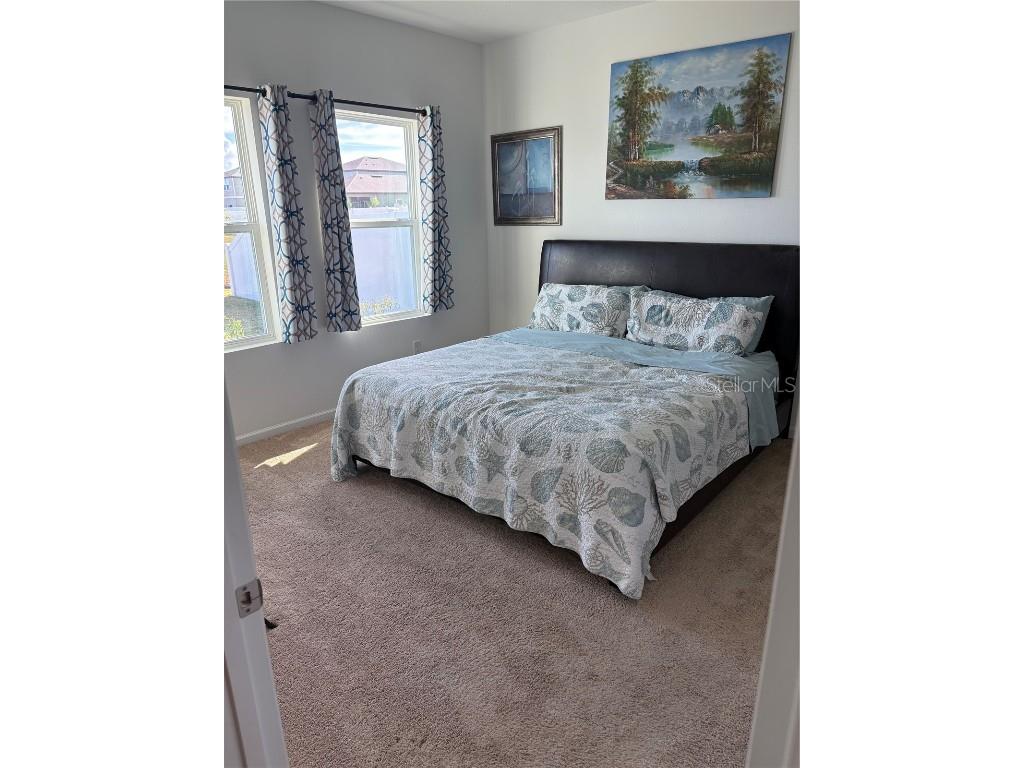 1238 Anchor Bend Drive Ruskin FL 33570 TB8432159 image10