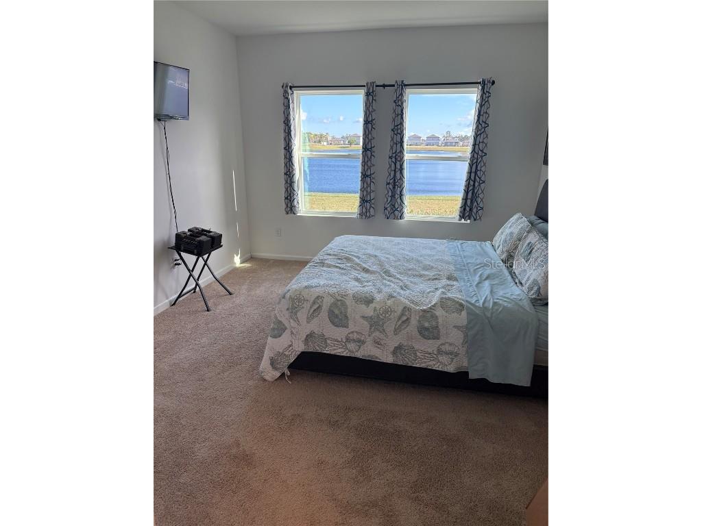 1238 Anchor Bend Drive Ruskin FL 33570 TB8432159 image9