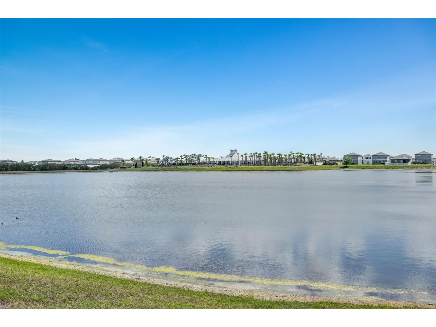 1238 Anchor Bend Drive Ruskin FL 33570 TB8485622 image36