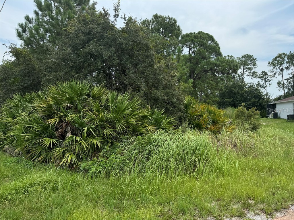 1238 Apopka Lane Kissimmee FL 34759 T3547582 image1