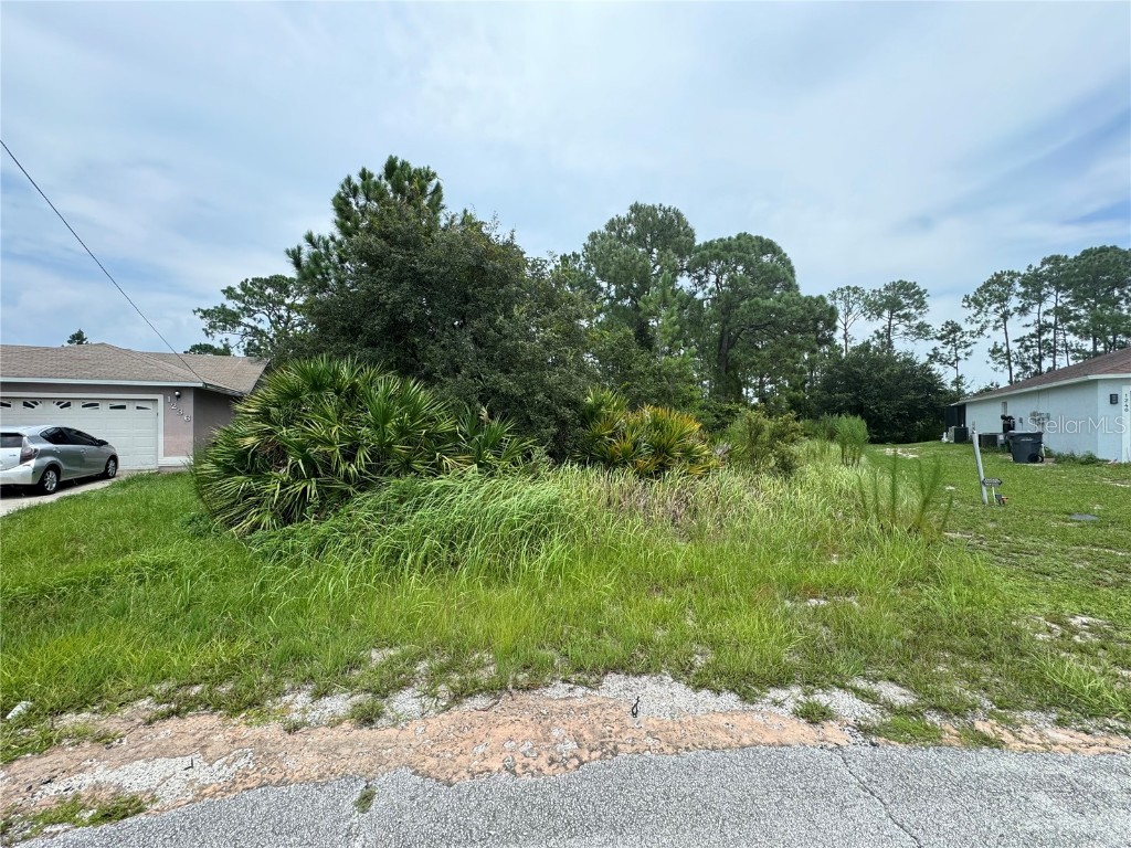 1238 Apopka Lane Kissimmee FL 34759 T3547582 image2