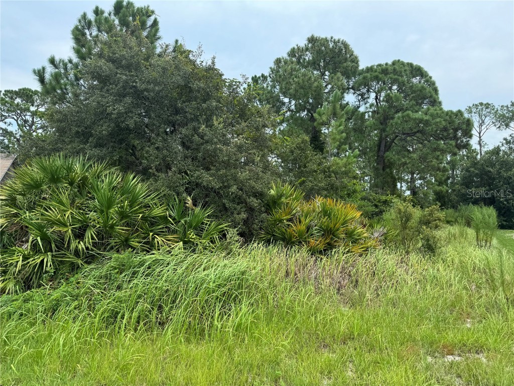 1238 Apopka Lane Kissimmee FL 34759 T3547582 image3