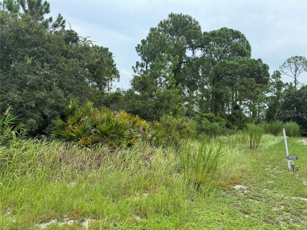 1238 Apopka Lane Kissimmee FL 34759 T3547582 image4