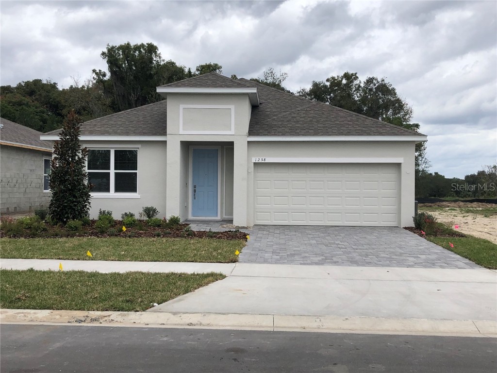 1238 Atlantic Avenue Fruitland Park FL 34731 O6137866 image1