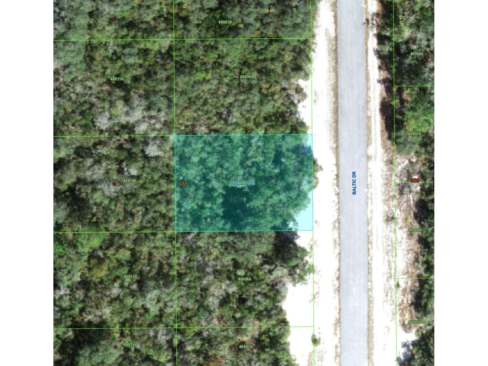 1238 Baltic Drive Kissimmee FL 34759 TB8501850 image1