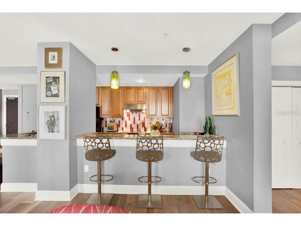 1238 E Kennedy Boulevard #702 Tampa FL 33602 TB8376643 image10