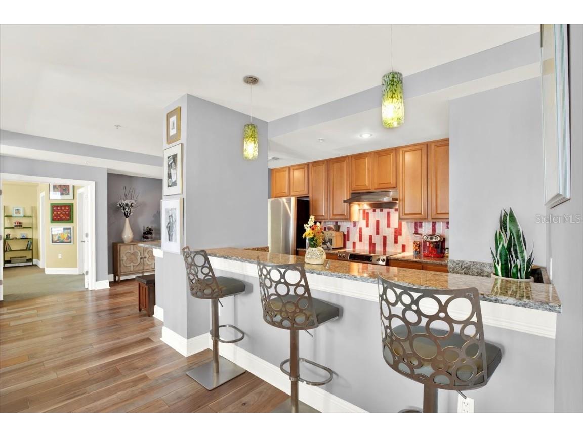 1238 E Kennedy Boulevard #702 Tampa FL 33602 TB8376643 image13