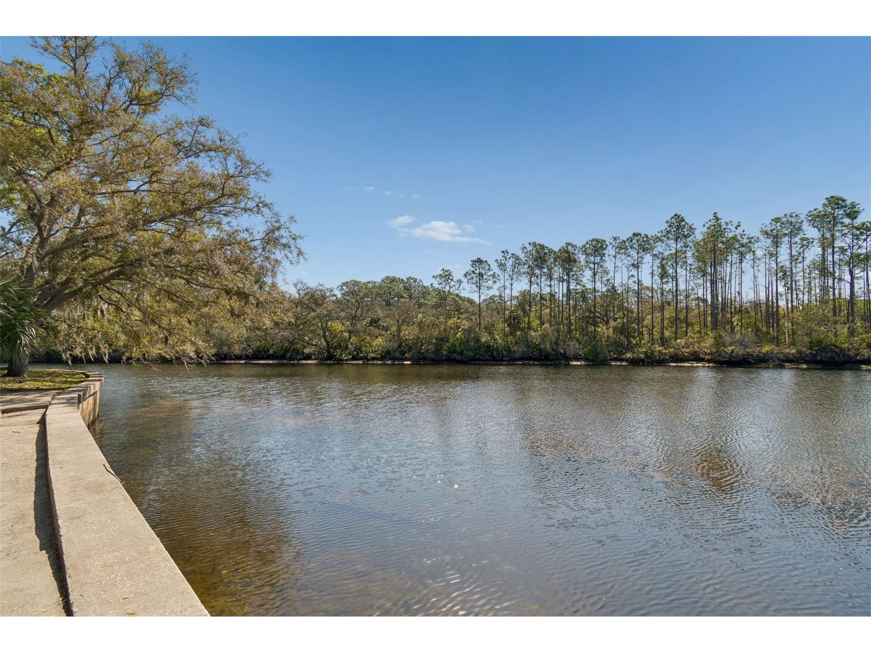 1238 Flotilla Drive Holiday FL 34690 - ANCLOTE RIVER TB8485598 image59