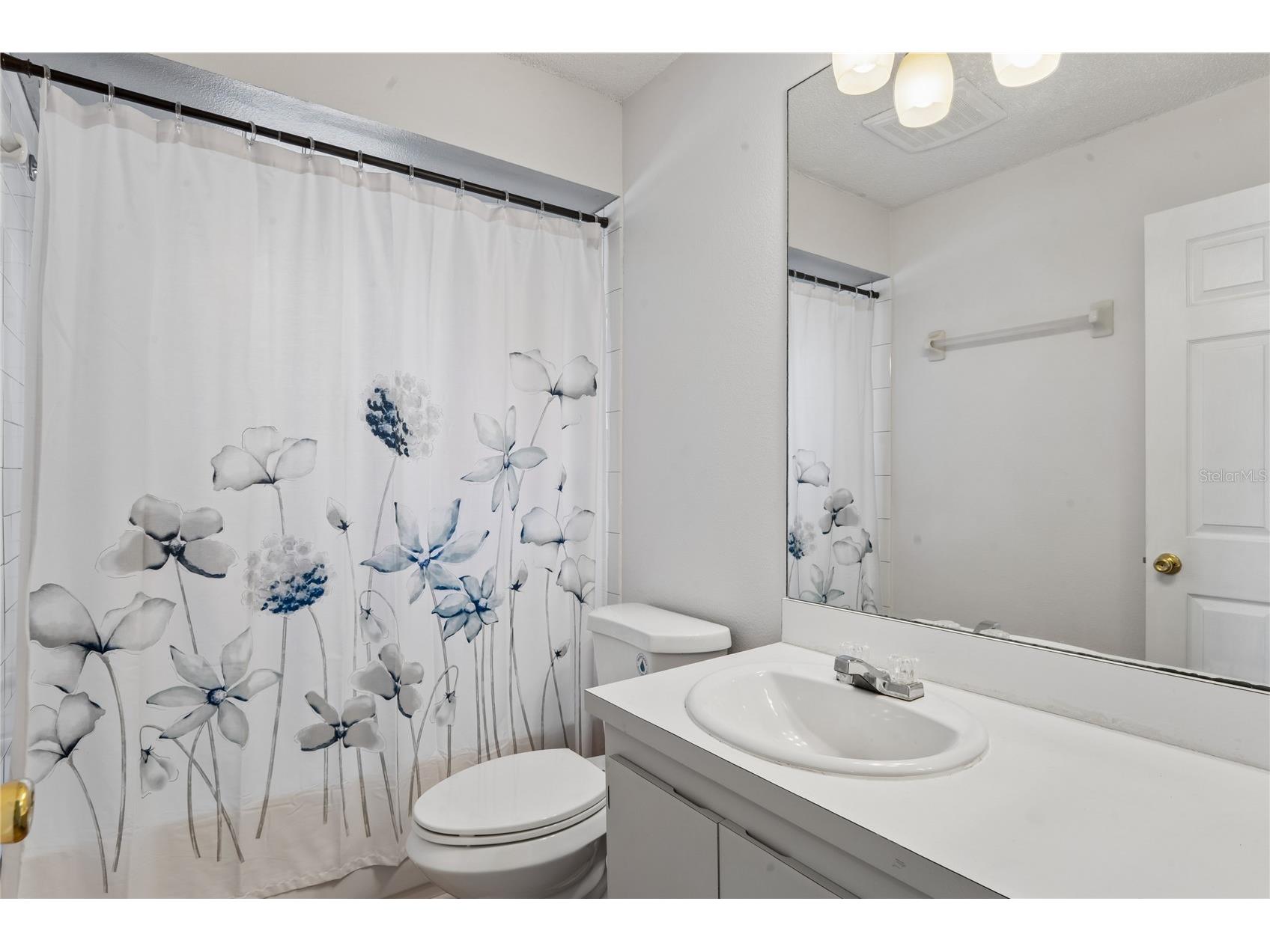 1238 Fuchsia Drive Holiday FL 34691 TB8511664 image17
