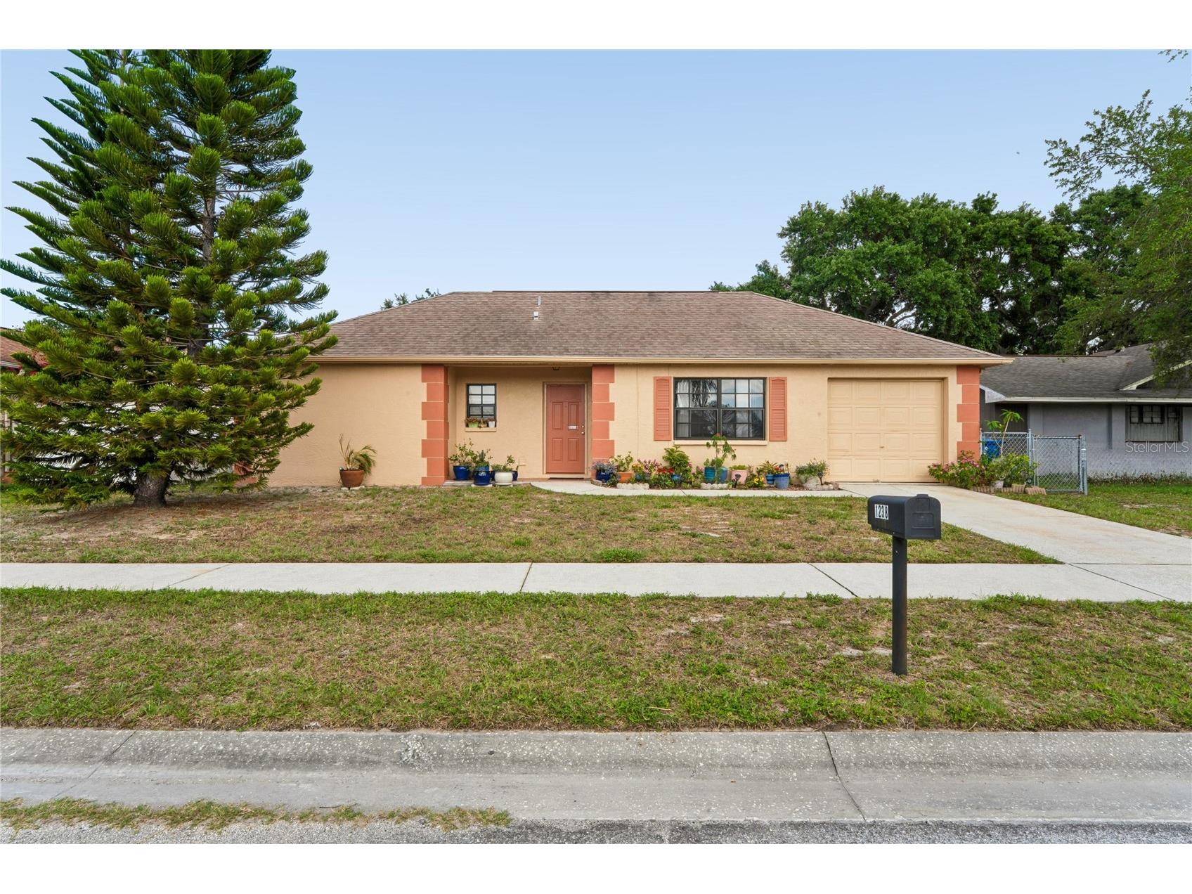 1238 Fuchsia Drive Holiday FL 34691 TB8511664 image27