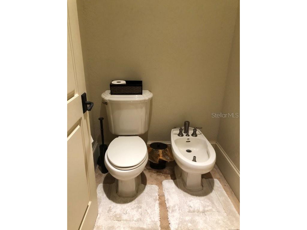 1238 Lake Whitney Drive Windermere FL 34786 - LAKE WHITNEY O6421211 image17