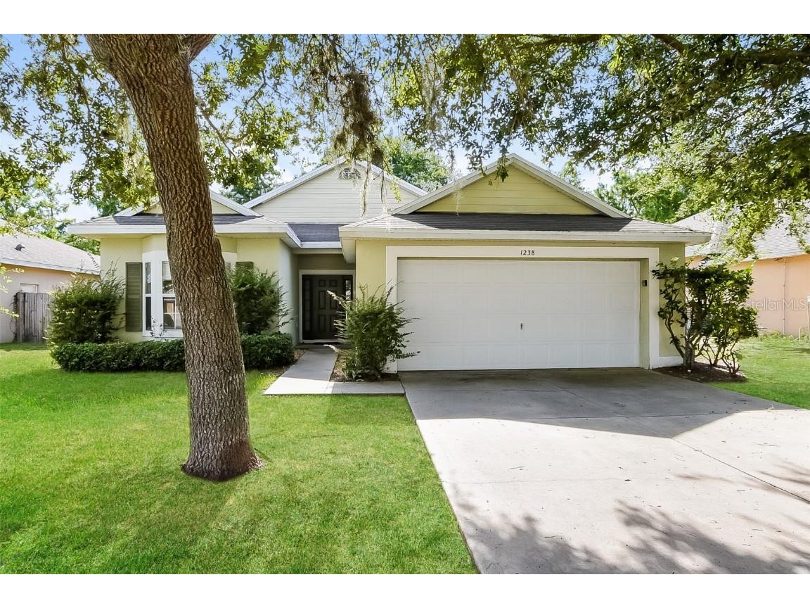 1238 Longville Circle Tavares FL 32778 O6333473 image1