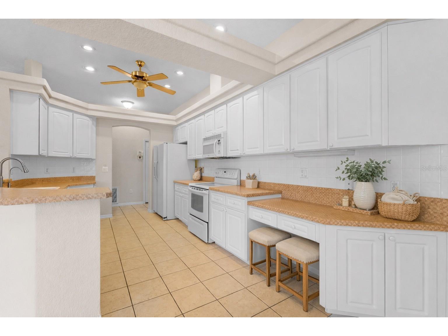 1238 Masada Lane Spring Hill FL 34608 TB8479513 image17
