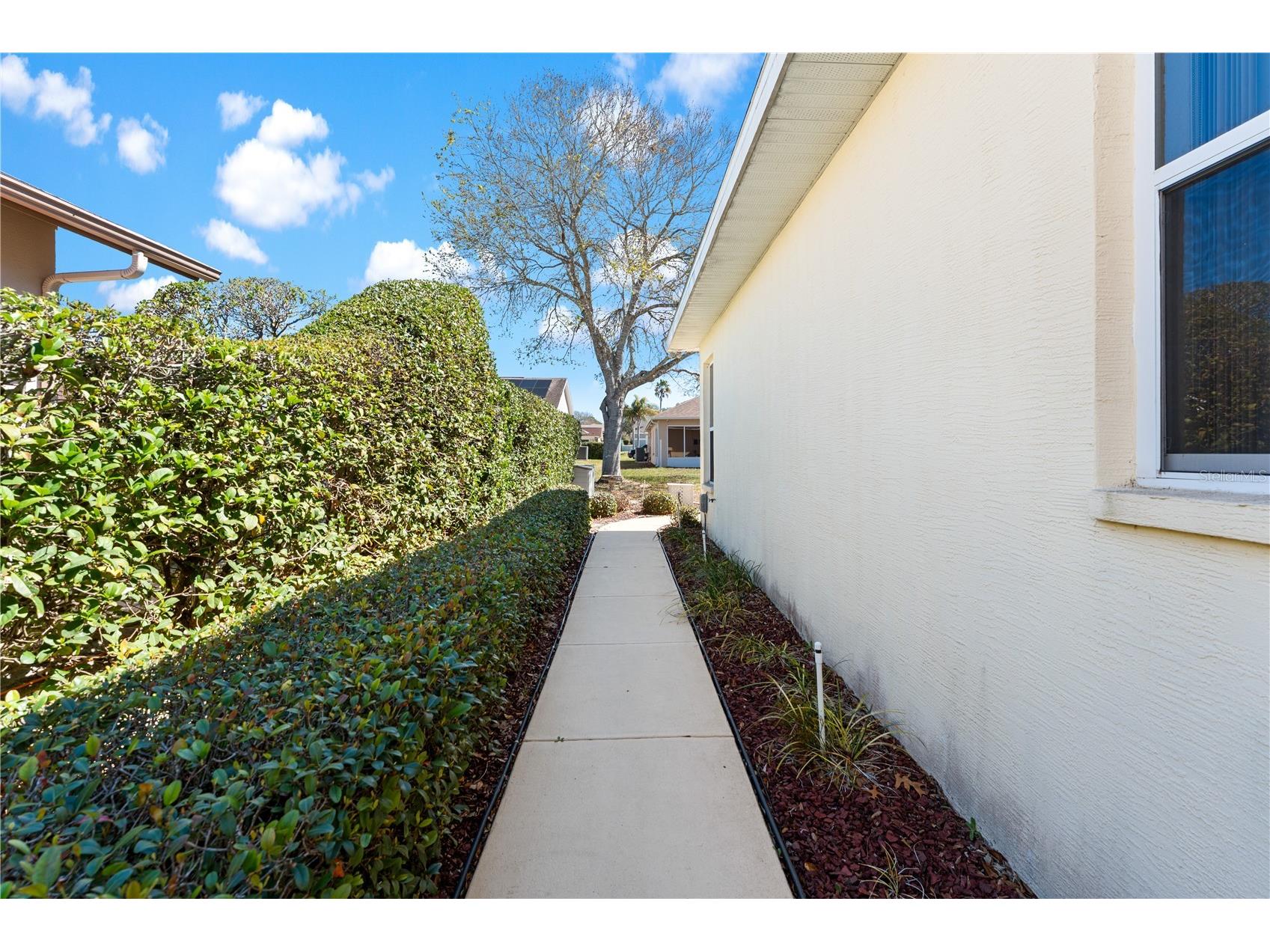 1238 Masada Lane Spring Hill FL 34608 TB8479513 image44