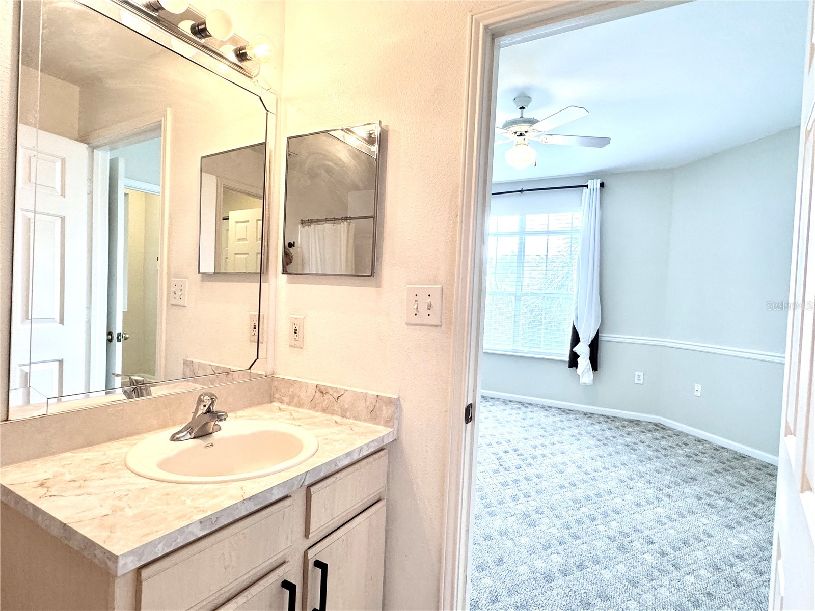 1238 S Missouri Avenue #102 Clearwater FL 33756 TB8516702 image15