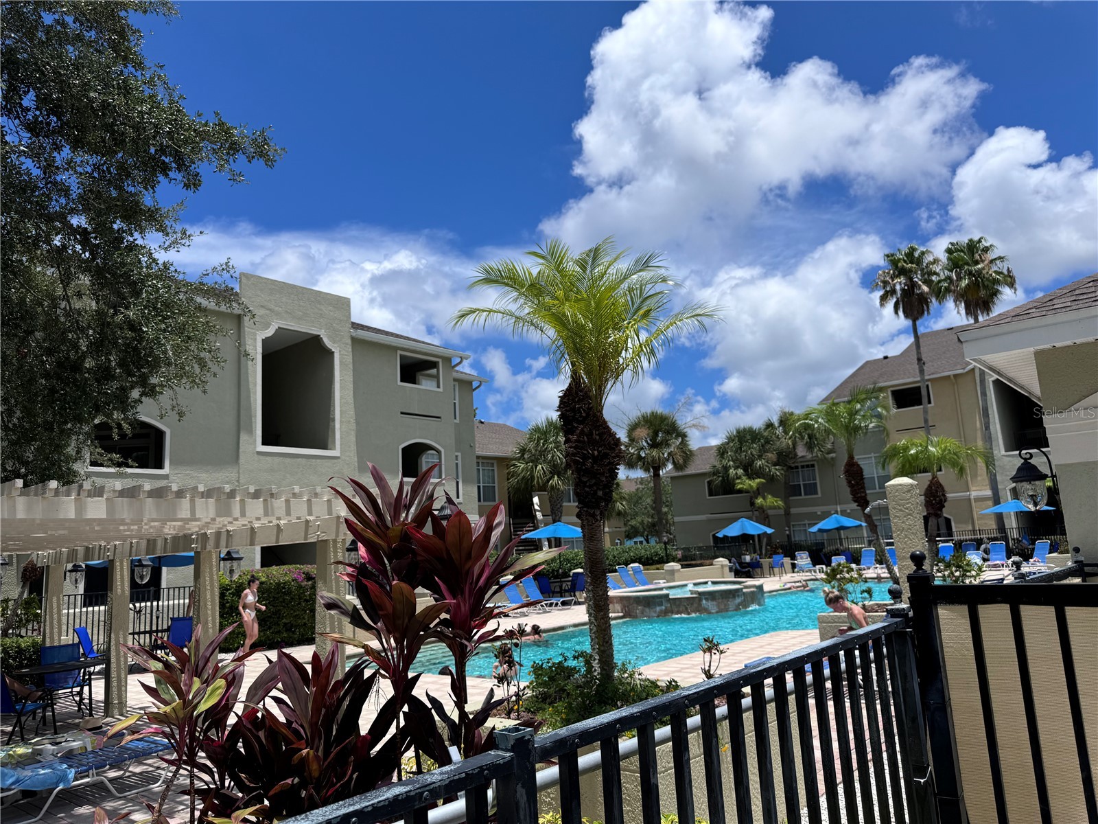 1238 S Missouri Avenue #102 Clearwater FL 33756 TB8516702 image22