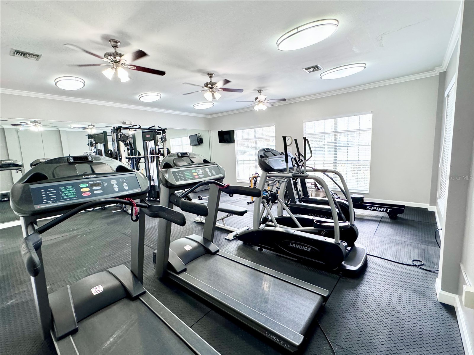 1238 S Missouri Avenue #102 Clearwater FL 33756 TB8516702 image32