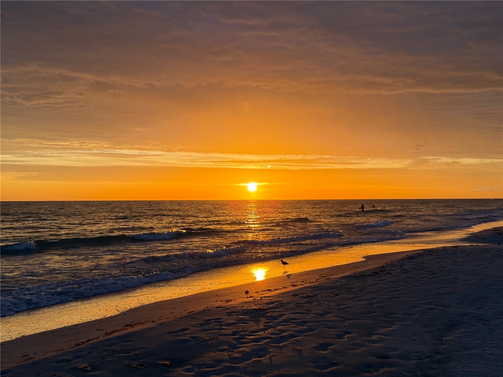 1238 S Missouri Avenue #102 Clearwater FL 33756 TB8516702 image39