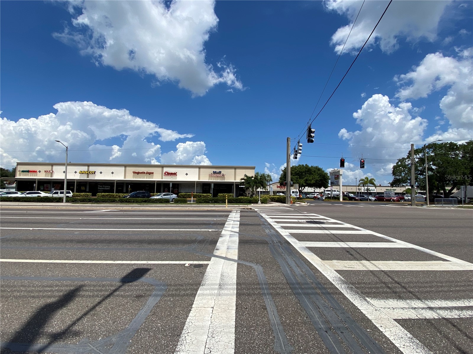 1238 S Missouri Avenue #102 Clearwater FL 33756 TB8522539 image36