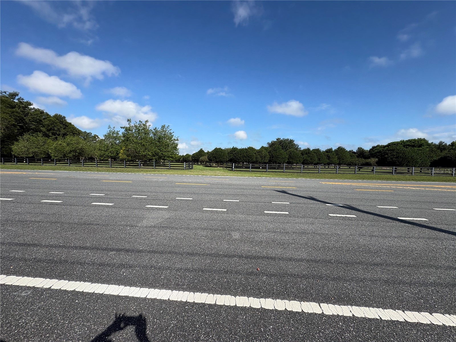 1238 S Us 301 Sumterville FL 33585 G5114698 image1