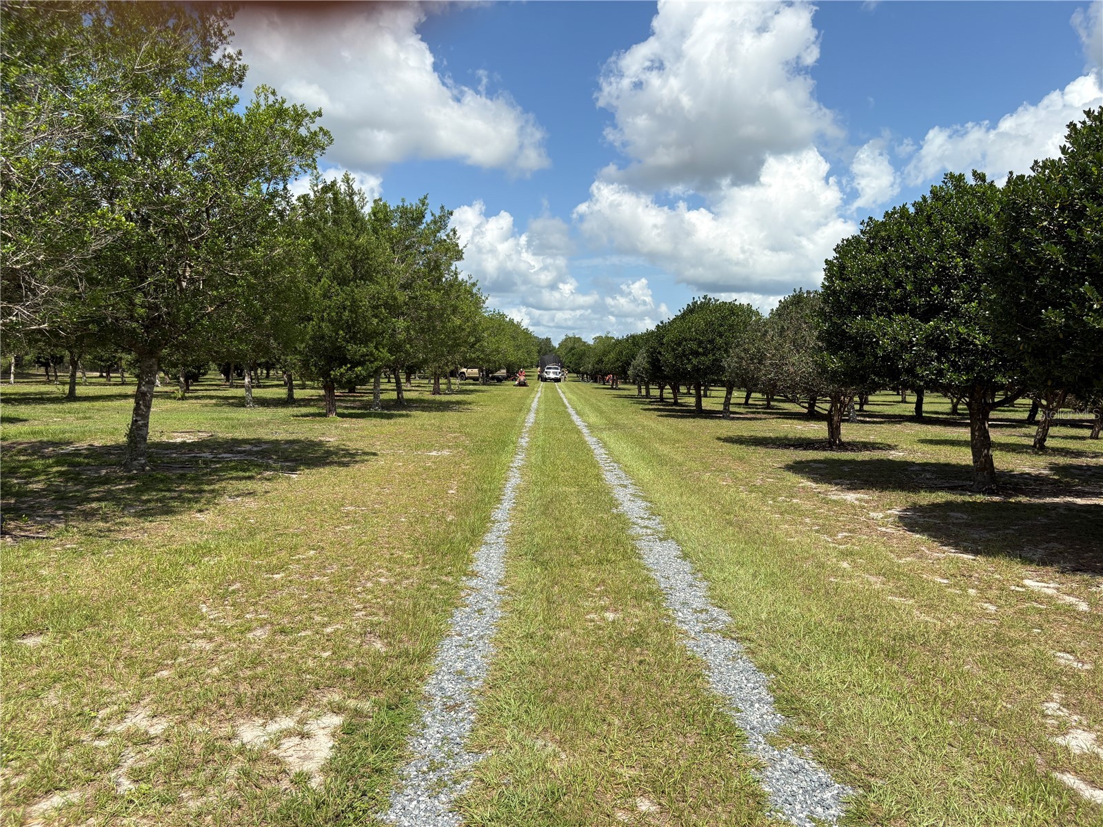1238 S Us 301 Sumterville FL 33585 G5114698 image12