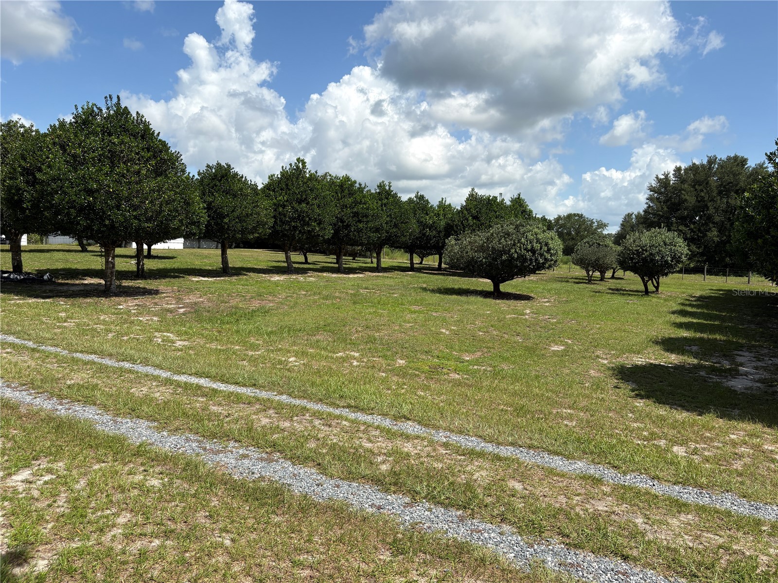 1238 S Us 301 Sumterville FL 33585 G5114698 image14