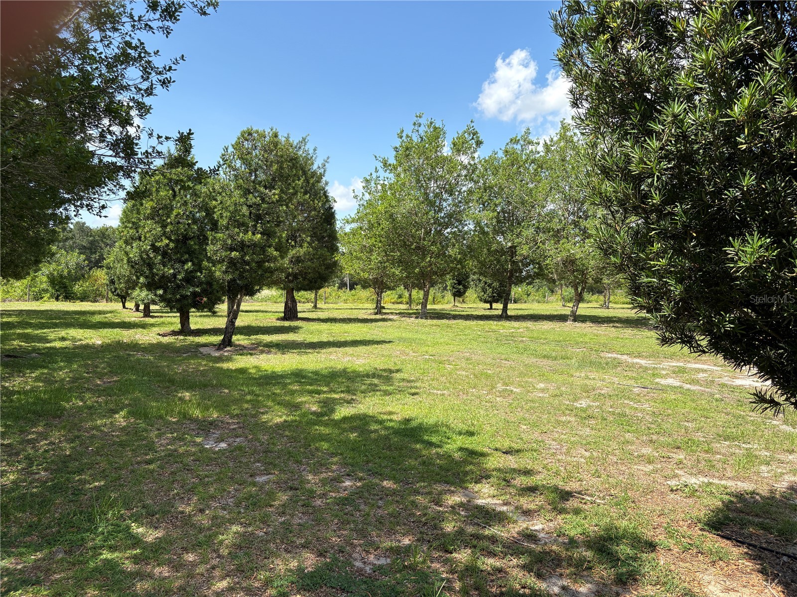 1238 S Us 301 Sumterville FL 33585 G5114698 image15