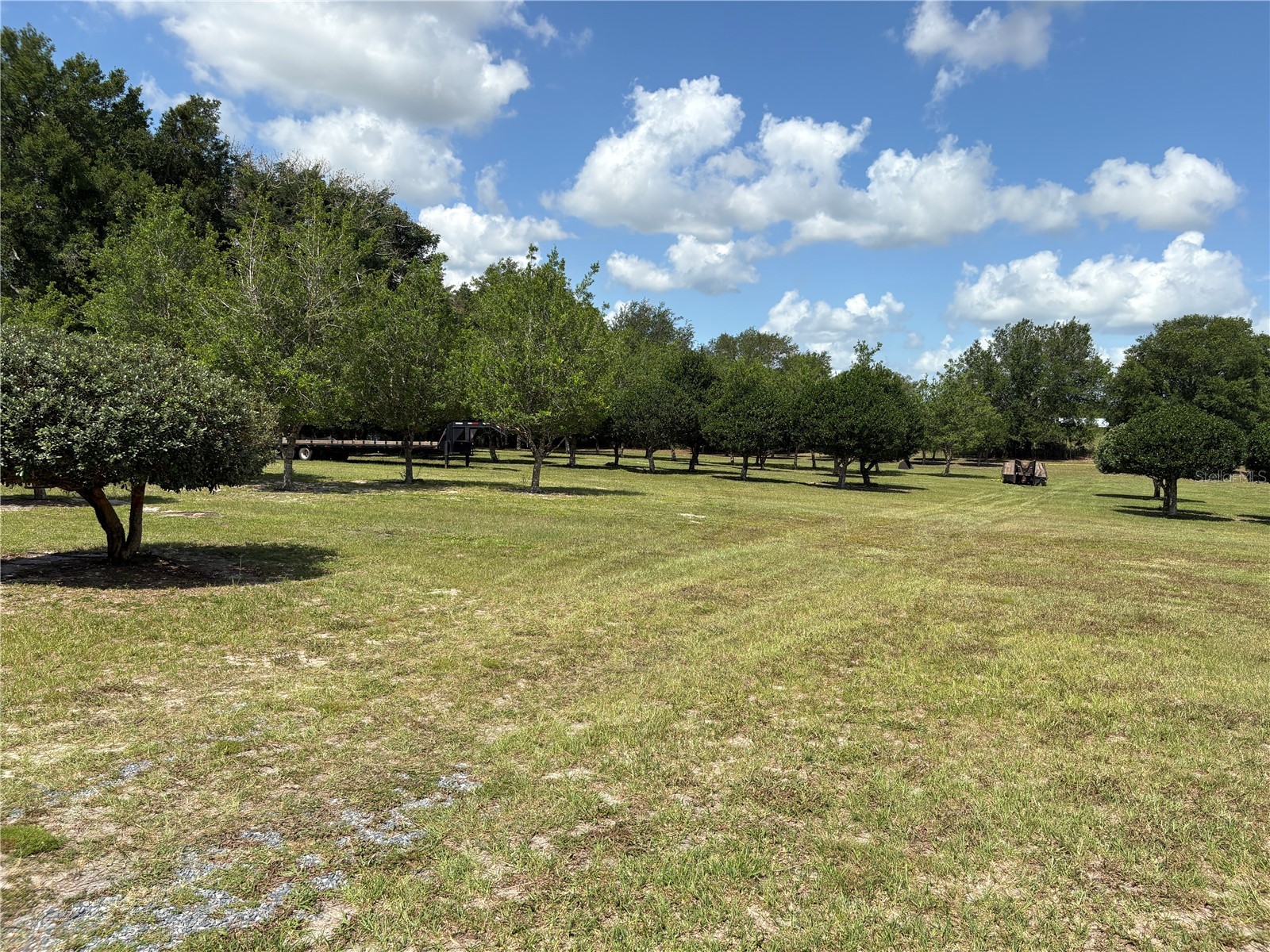 1238 S Us 301 Sumterville FL 33585 G5114698 image16